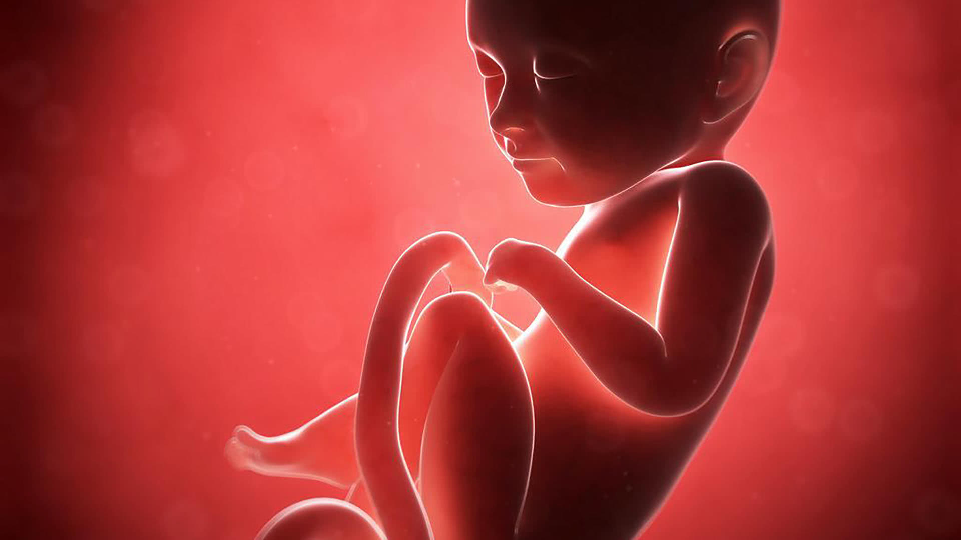 怀孕26周胎儿图片图片