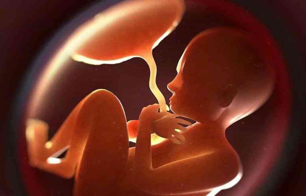 胎儿真实图片