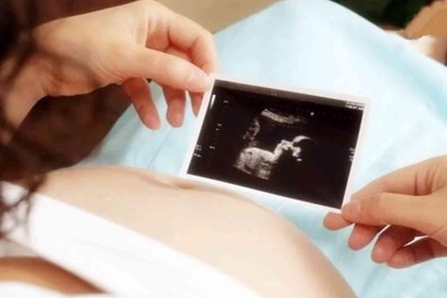 五个月的胎儿从图上能看出有多大吗