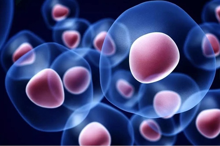 POF干细胞治疗是什么
