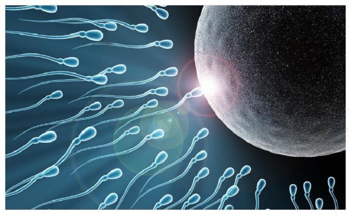 卵巢早衰想生育可选择试管婴儿