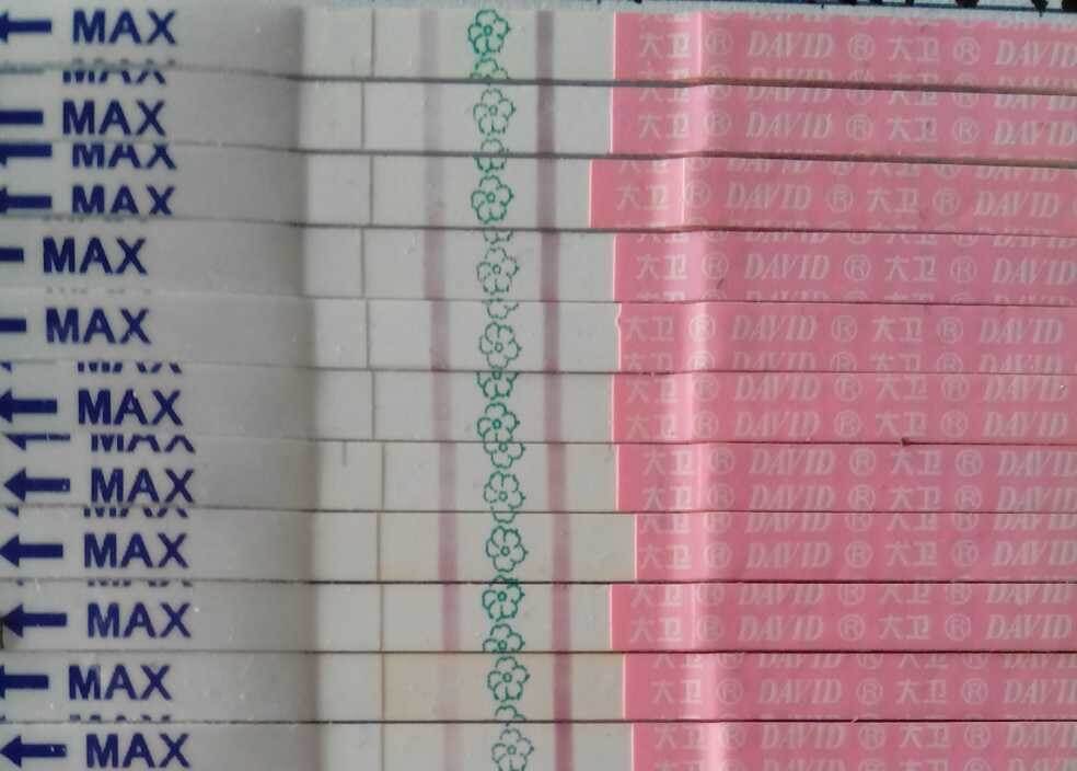 排卵试纸可以测出排卵期