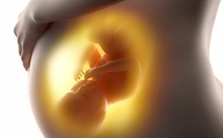 胎儿在妈妈肚子里慢慢长大