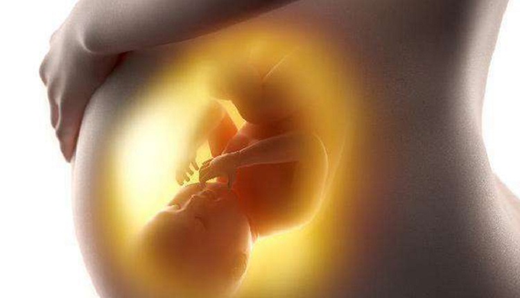 根据胎动开始日期算预产期