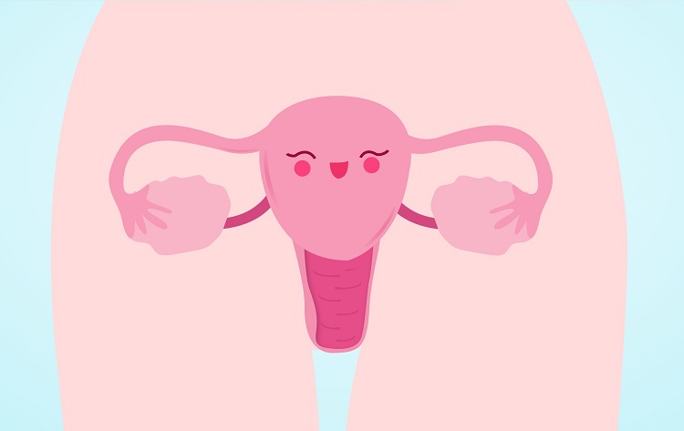 卵巢早衰的病因可能是酶异常