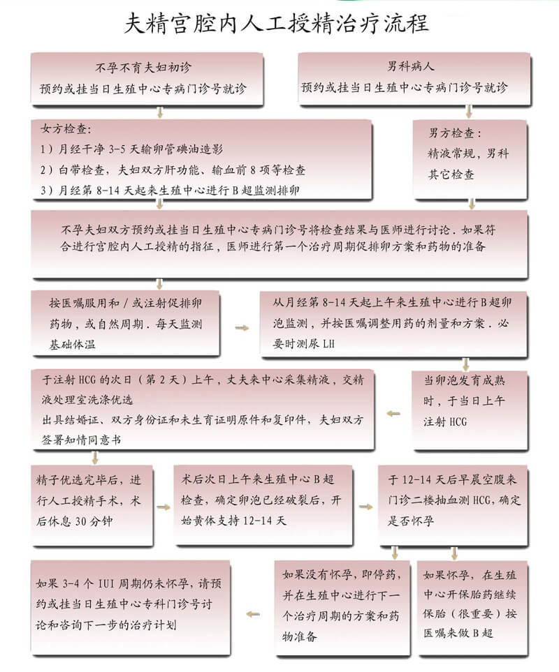 夫精人工授精流程图