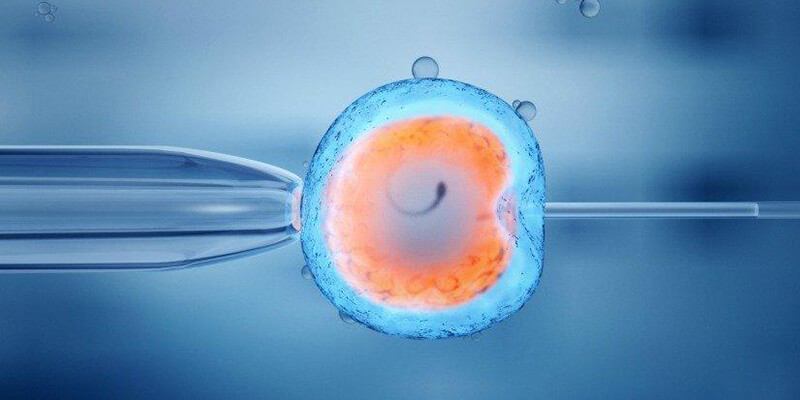 受精卵第6天是囊胚形成最好时机