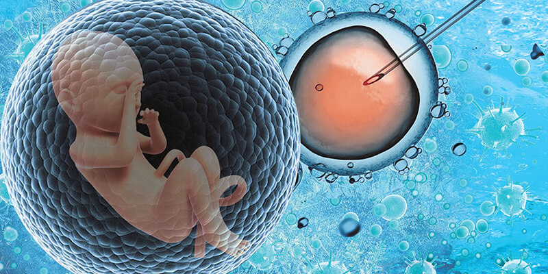 培养失败的囊胚不建议移植