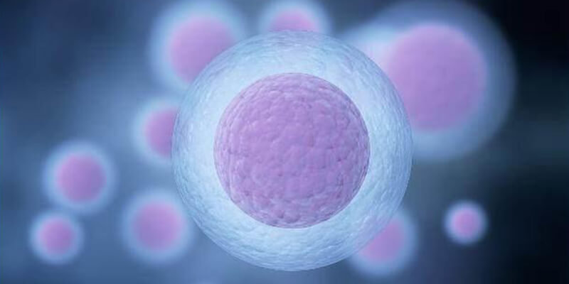 囊胚培养成功也不一定就是优质的
