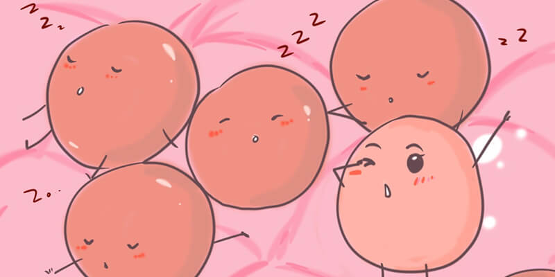 单侧窦卵泡数量在5-7个左右