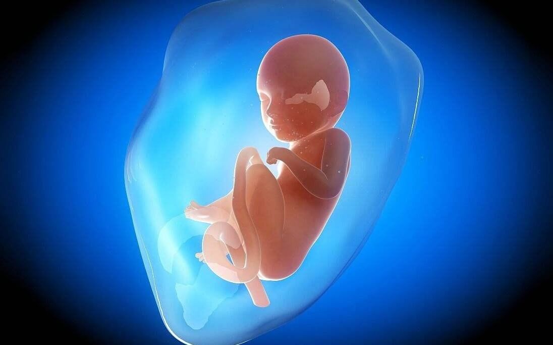 胎儿停止发育前的症状