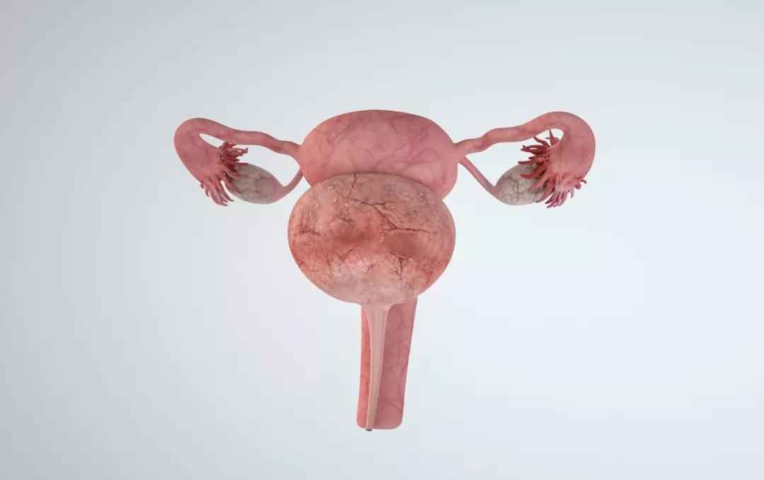 子宫切除会导致卵巢功能减退