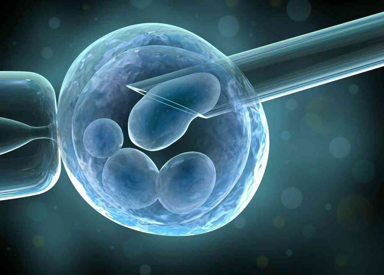 多囊卵巢试管婴儿成功率