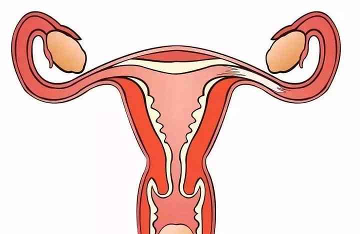 多囊卵巢最快受孕方式