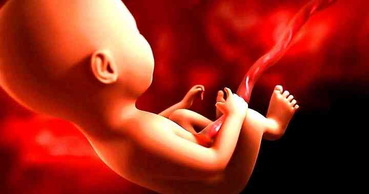 孕中期同房对胎儿没有影响