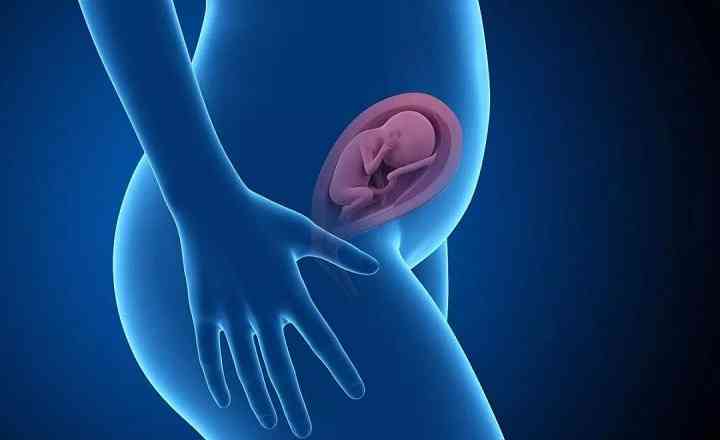 地中海贫血对胎儿和孕妇的影响