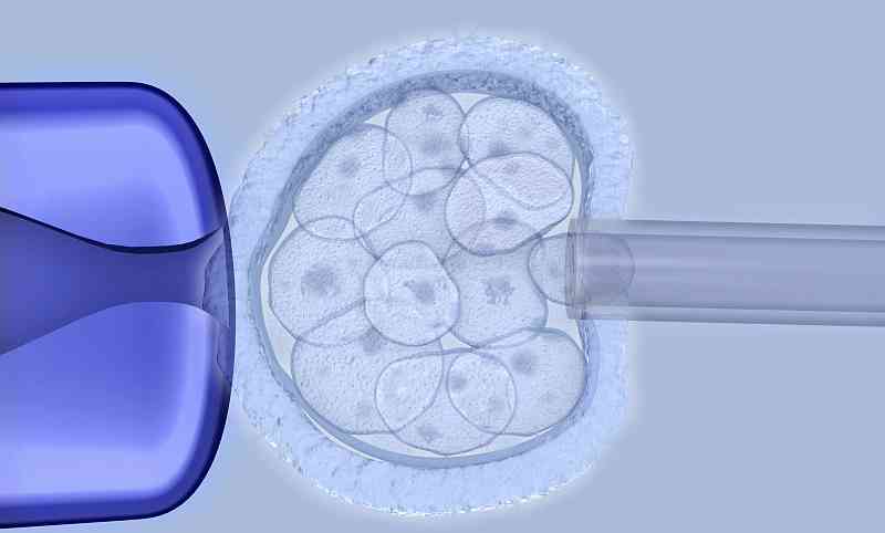 试管胚胎照片图片
