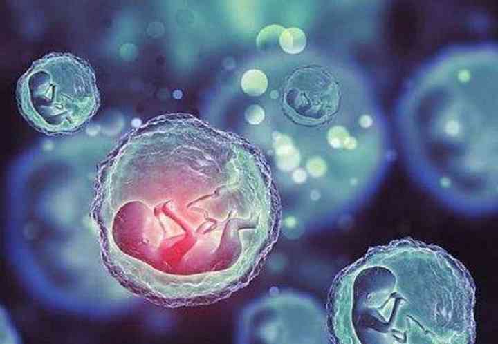 胚胎染色体异常的原因