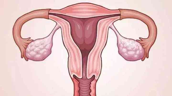 子宫内膜增生期的正常值