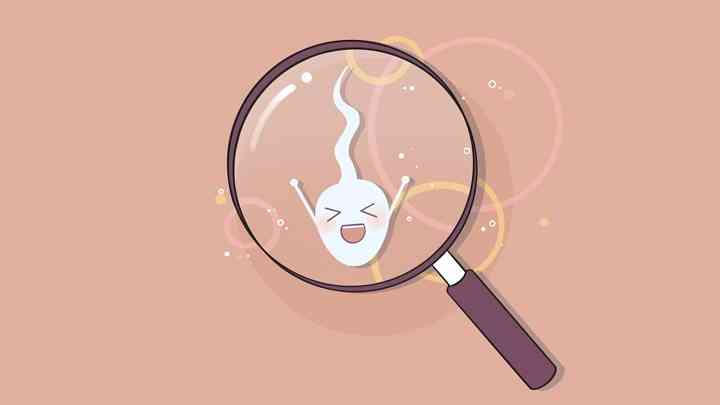 精子在输卵管内的存活时间