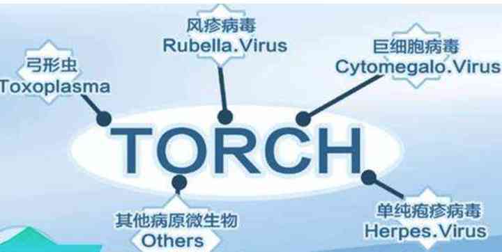 torch优生十项与torch优生五项有哪些区别