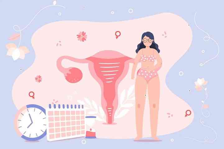 通过月经周期可以判断自己的排卵日