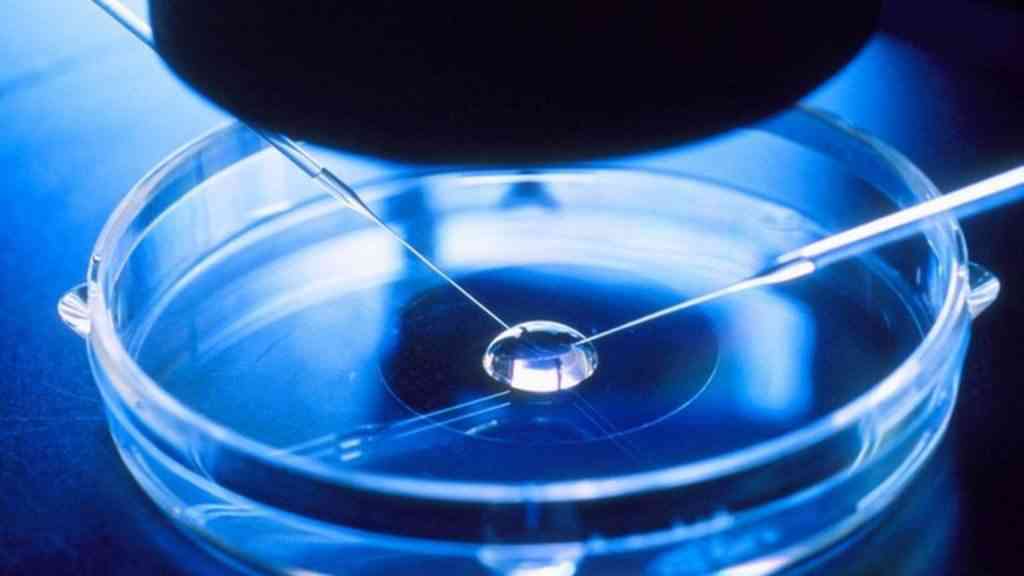 胚胎培育是三代试管期间的其中一个过程