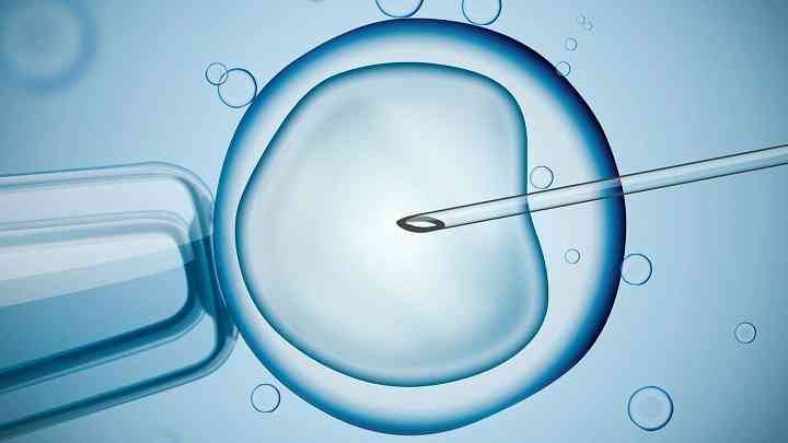 输卵管异常患者适合做日本试管婴儿