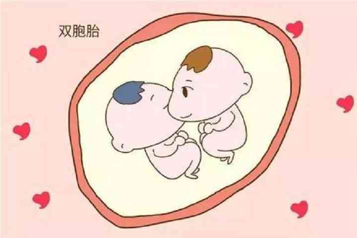哪里能做试管婴儿双胞胎