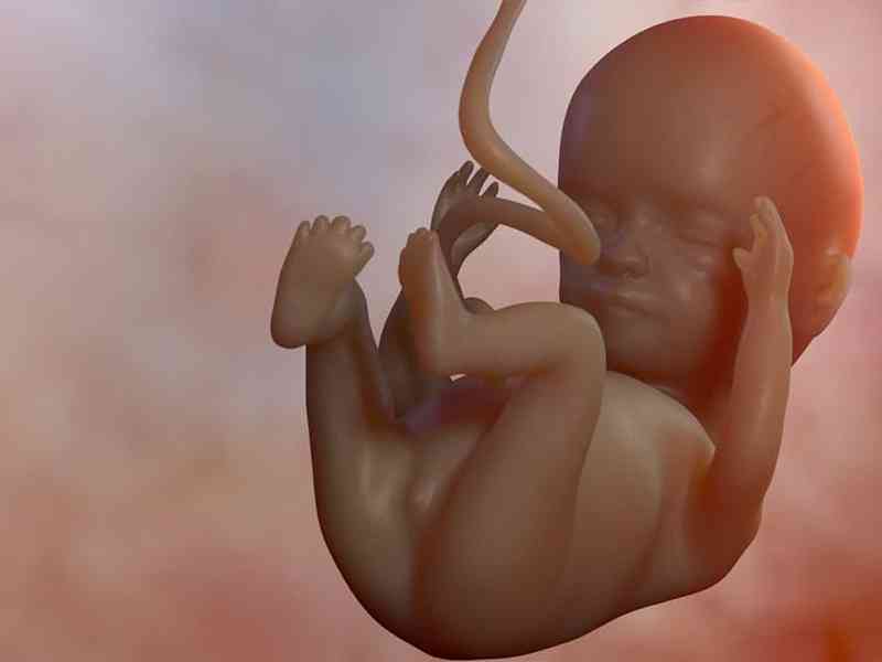 胎儿发育不好的孕妇可以喝奶粉
