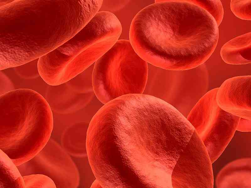 o型血是ABO血型系统的一种血型