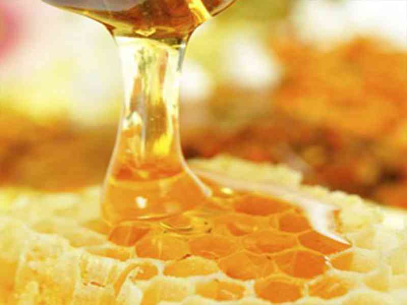 蜂胶（天然药物）其主要成分是蜂蜡、蜂胶（树脂）和蜂房油3种