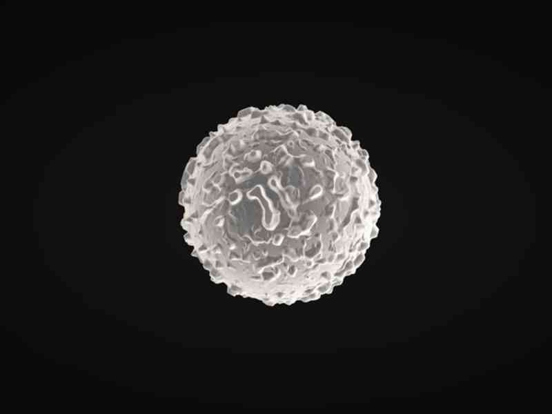 白细胞检测可检查宫颈炎