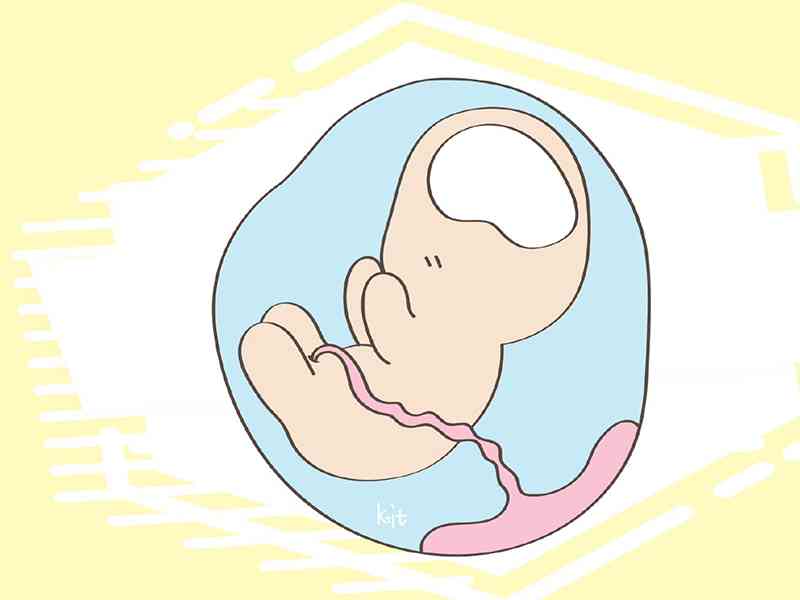服用叶酸片可以预防胎儿先心病，降低宝宝出生缺陷的风险
