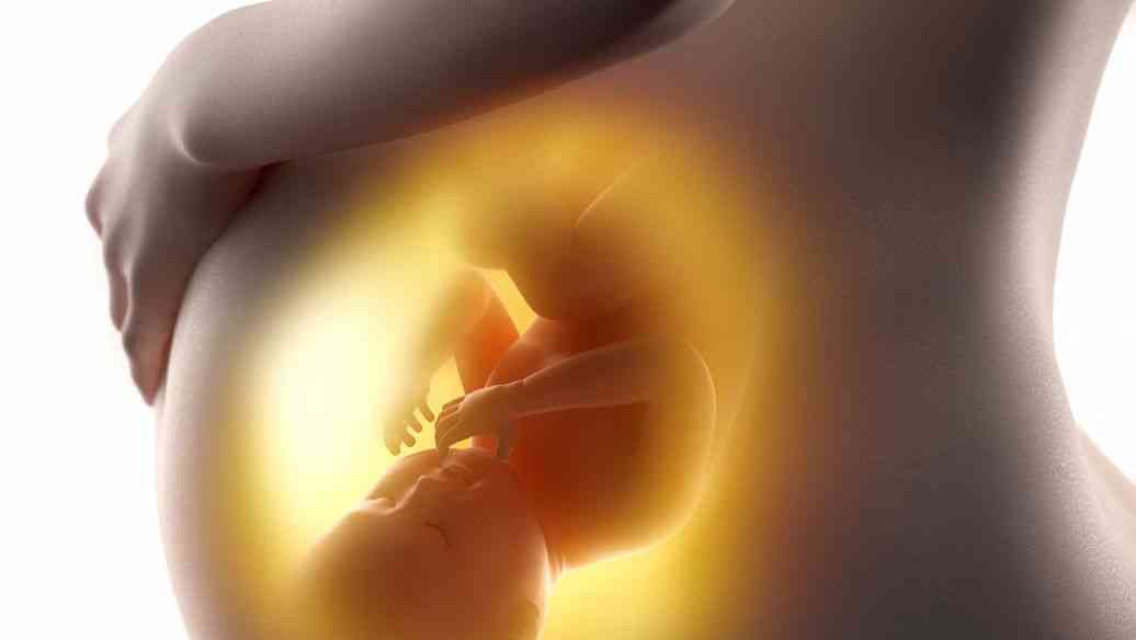 吃减肥药会影响胎儿发育
