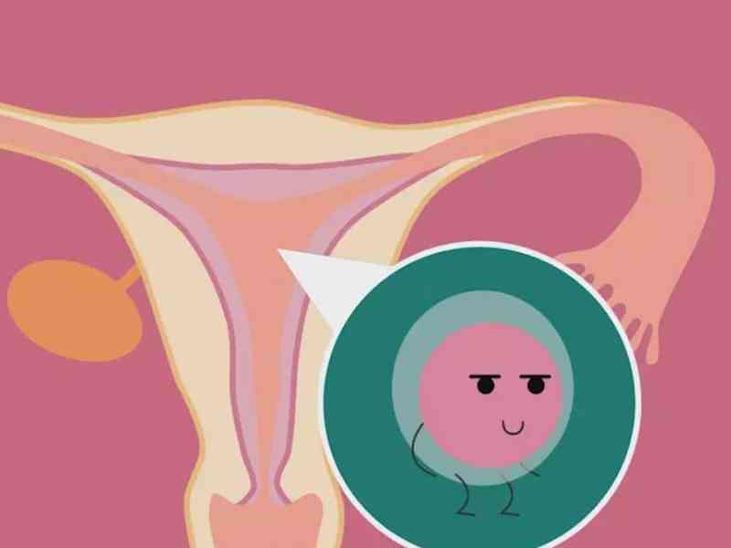 女性宫外孕会出血