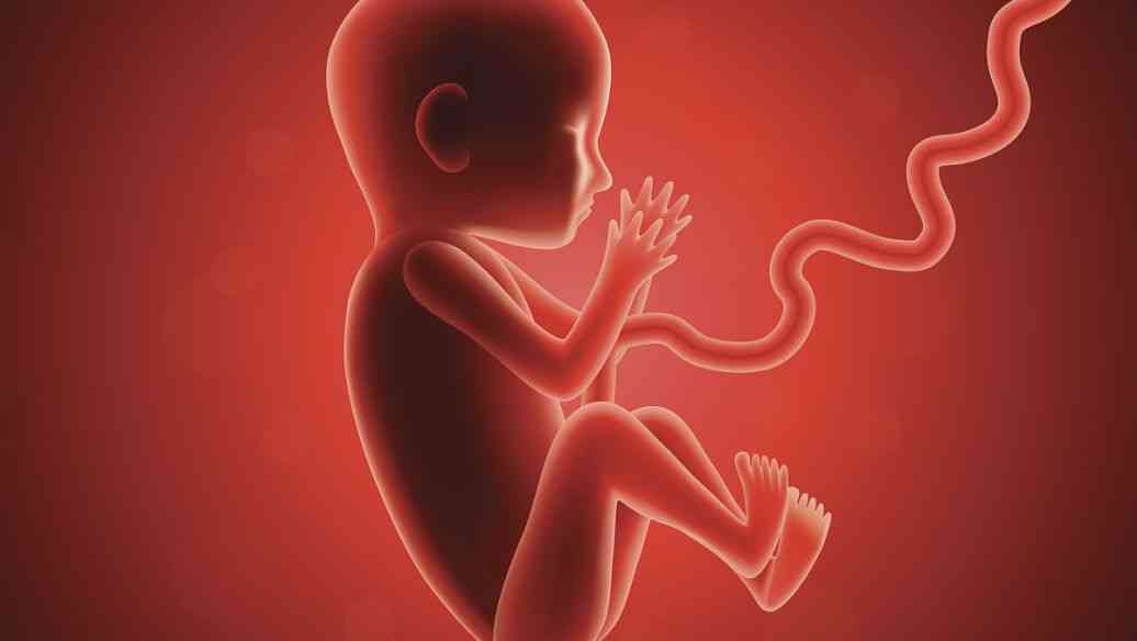 怀孕低血压会造成胎儿缺血缺氧