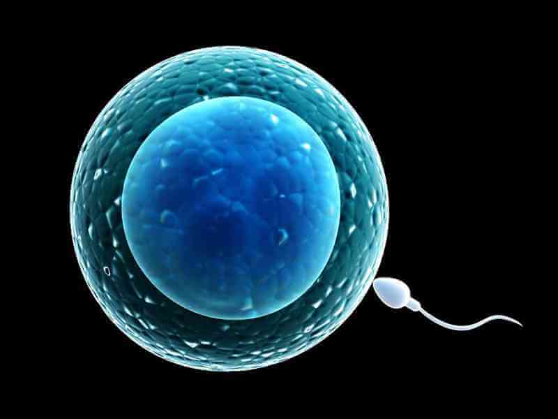 怀孕通常一周后开始逐渐有反应