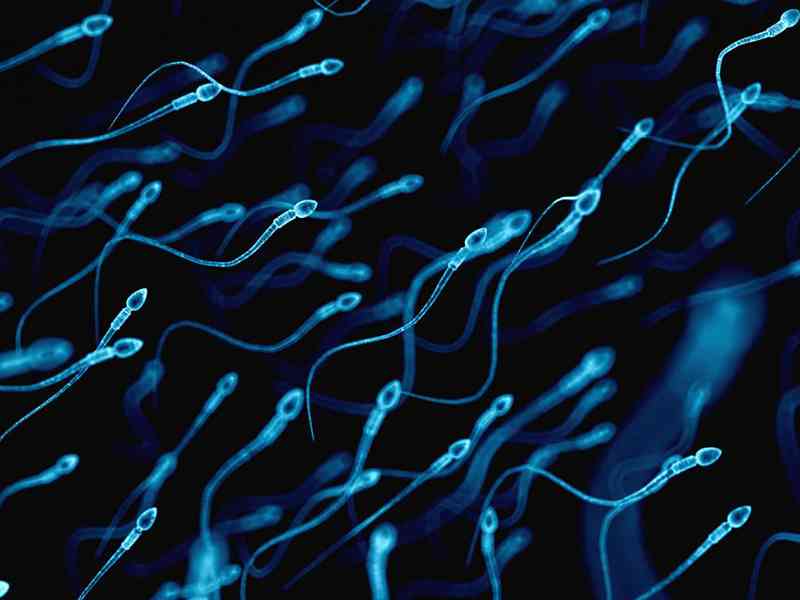 先天性疾病会导致精子不液化