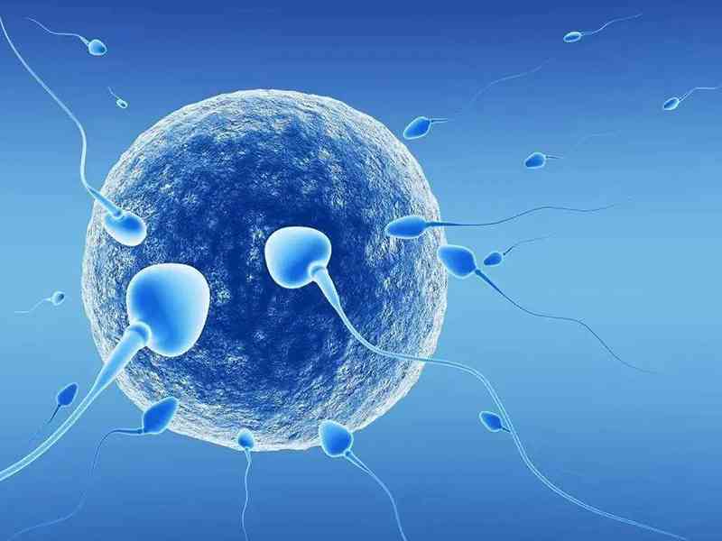精子在一定时间内没有液化被称为精子不液化