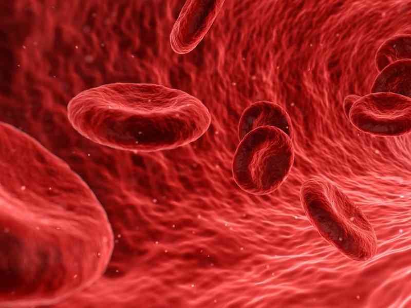 镰刀型细胞贫血症是因为红细胞发生扭曲变形