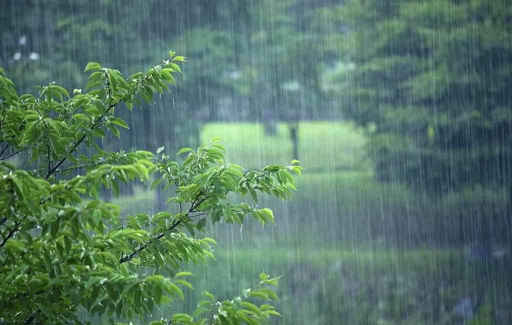 周公解梦天下雨（做梦天下雨了,啥意思） 周公解梦天下雨（做梦天下雨了,啥意思） 卜算大全