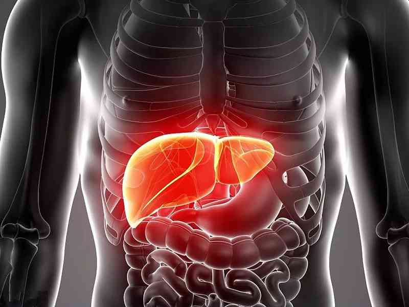 病毒性肝炎会导致谷氨酸转氨酶偏高