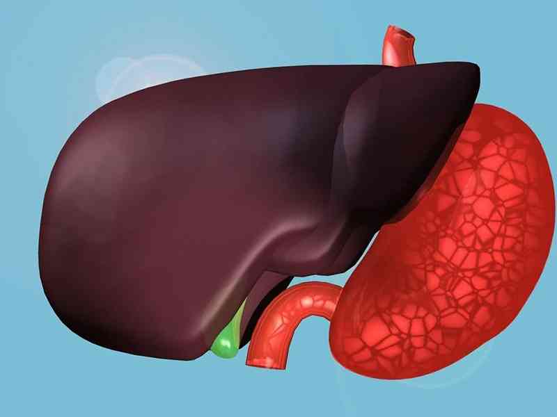 转氨酶超出范围说明肝细胞存在炎症
