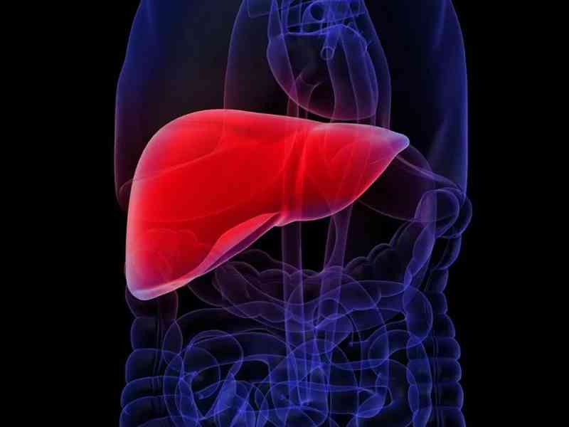 转氨酶超出正常范围说明肝脏异常