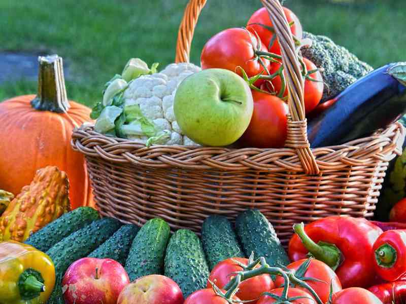 谷氨酸转氨酶偏高患者可以多吃蔬菜水果