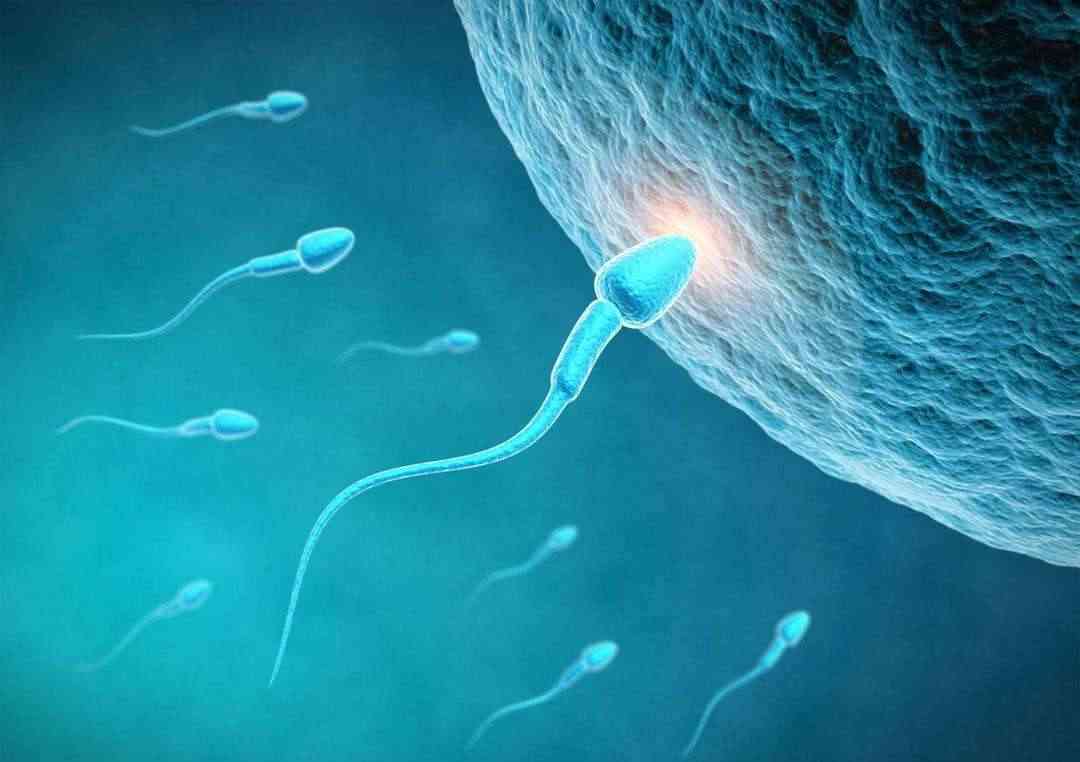 精子射进去不怀孕的原因有很多