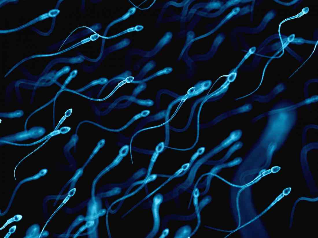 射进去没怀孕可能是精子原因