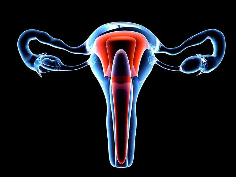 输卵管造影可以检查不排卵不孕