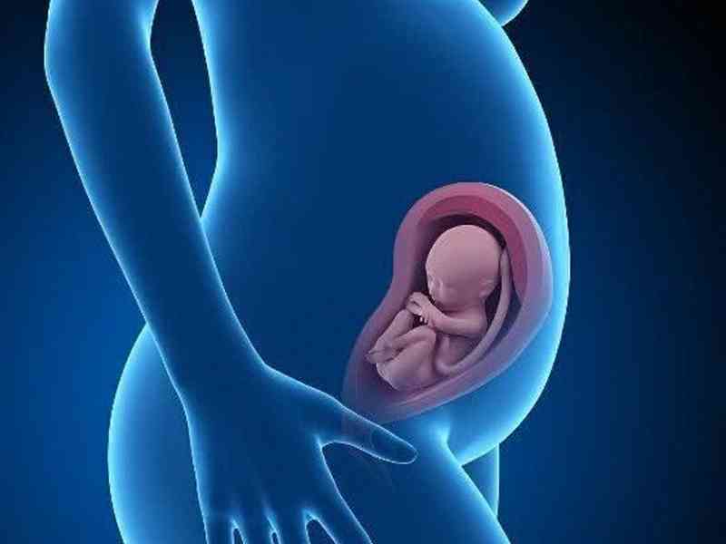 多囊卵巢综合征怀孕的概率较大